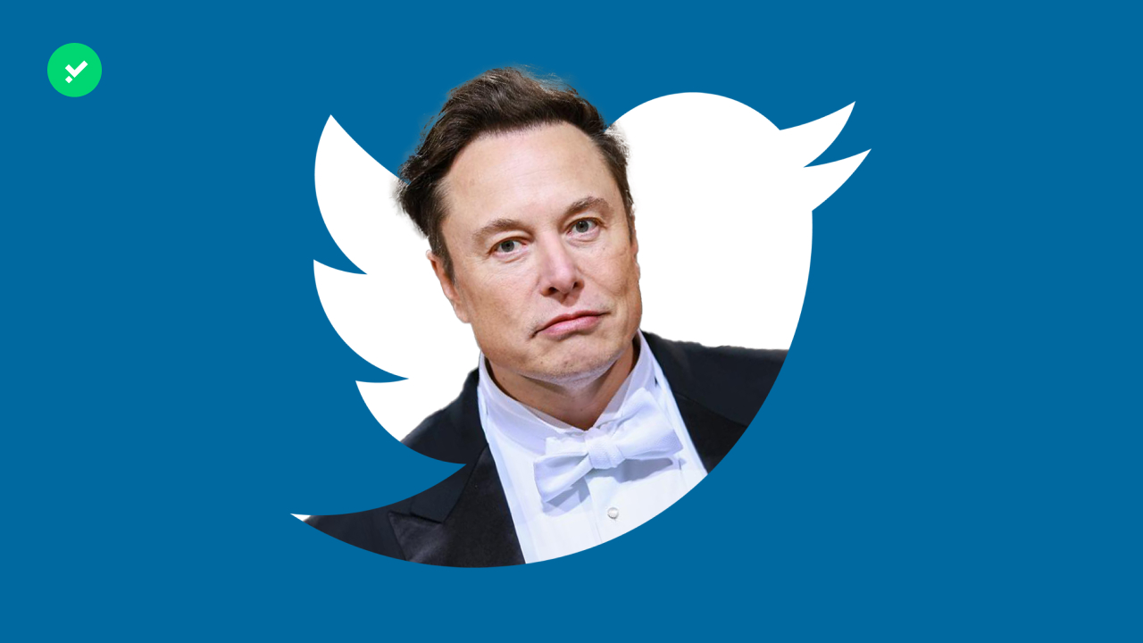 Les cryptos arrivent sur Twitter grâce à Elon Musk ?