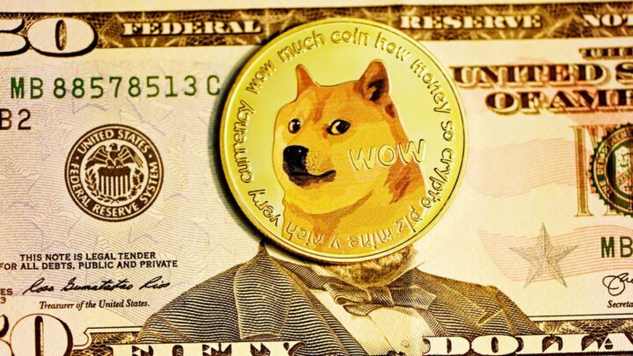 departement-efficacite-gouvernementale-dogecoin-doge