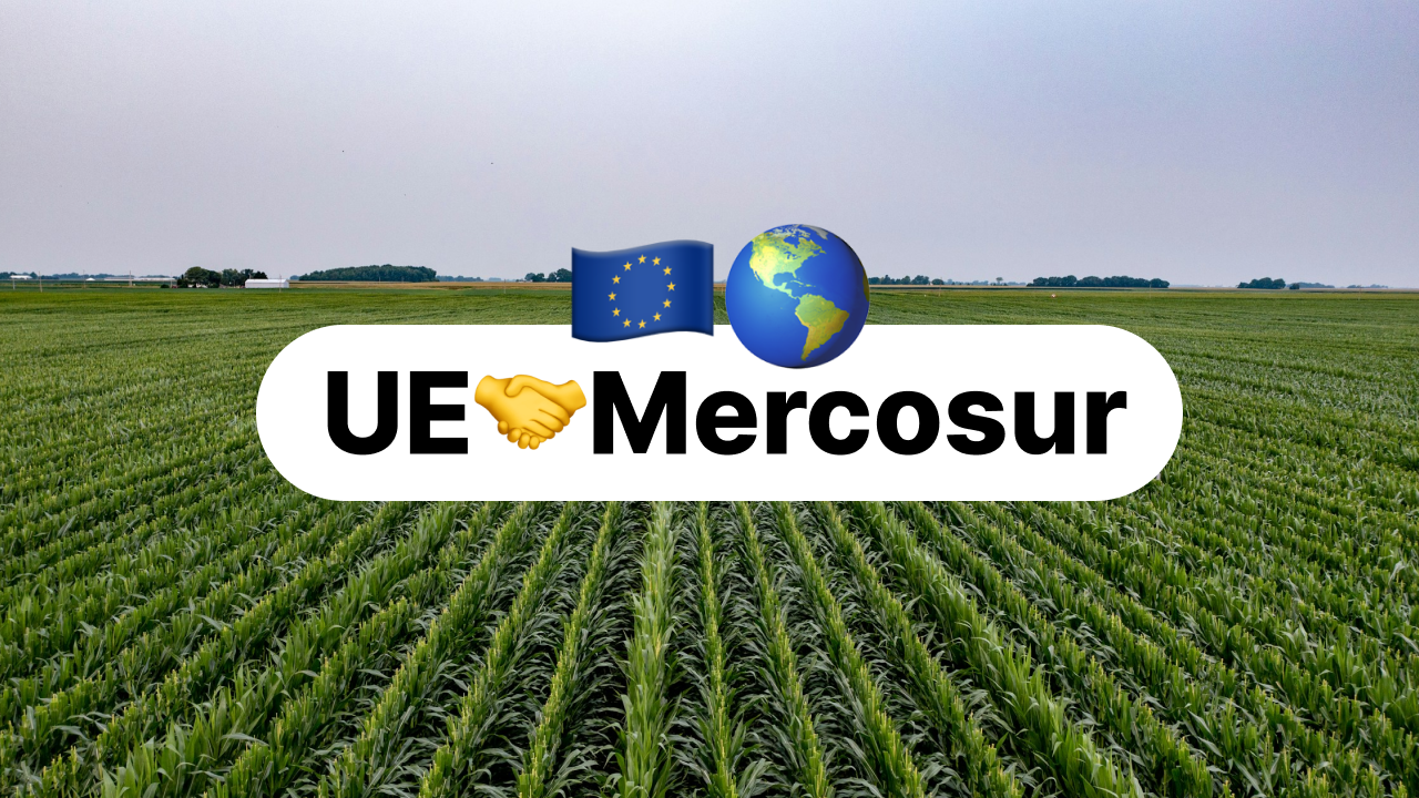Mercosur agreement: a new era for global trade?